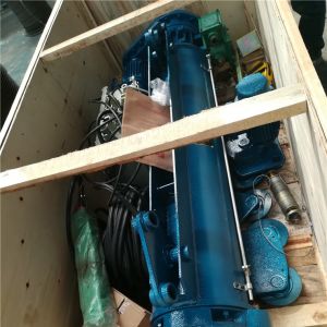 林貞禮  防爆電動葫蘆 2017-5-9